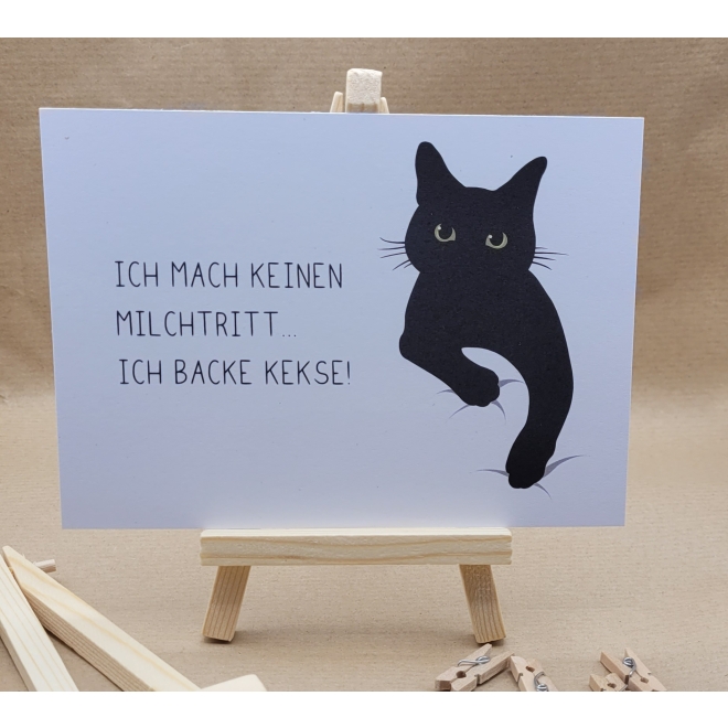 Postkarten-Set „Katzen mit Charakter“ (4er-Set)